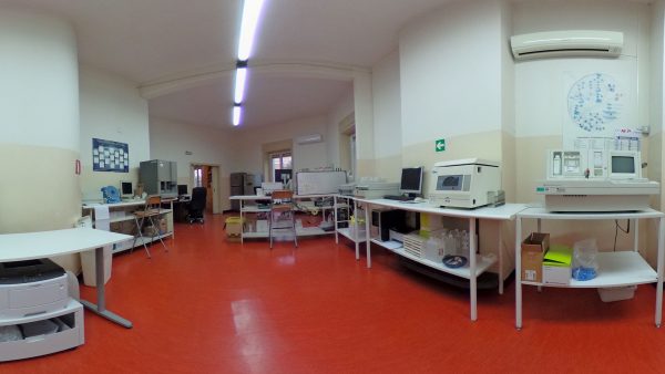 Laboratorio Analisi Clinice L.A.C. Maddaloni - Area Chimica Clinica